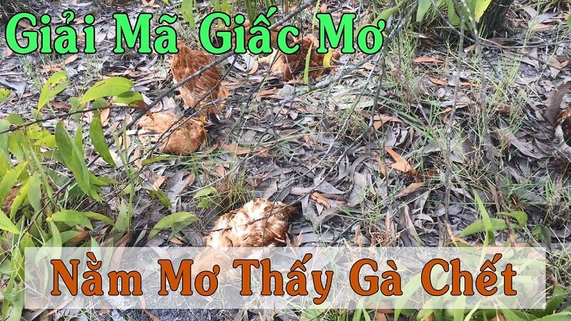 Nằm chiêm bao thấy gà chết đánh con gì, số mấy chuẩn xác nhất?